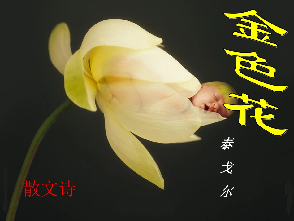 《金色花》 (2)_第2页