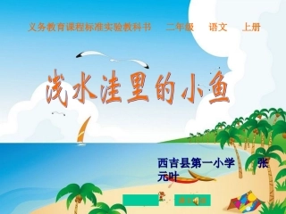 《浅水洼里的小鱼》