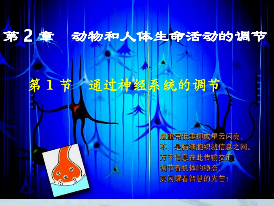 通过神经系统的调节 (2)_第1页
