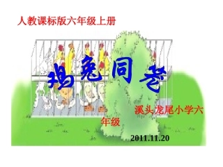 鸡兔同笼PPT (3)