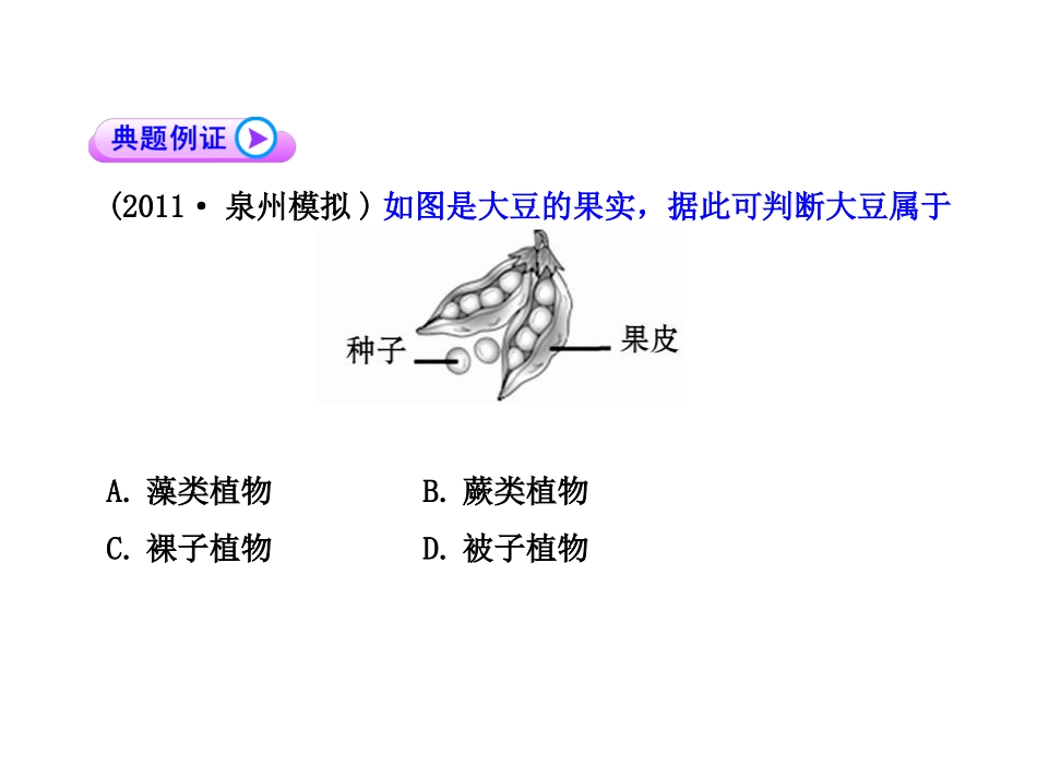 【第二轮专题复习】专题一选择题解题技法_第3页