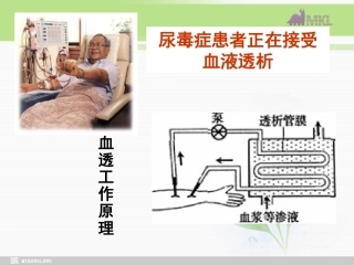 必修1第4章第2节生物膜的流动镶嵌模型