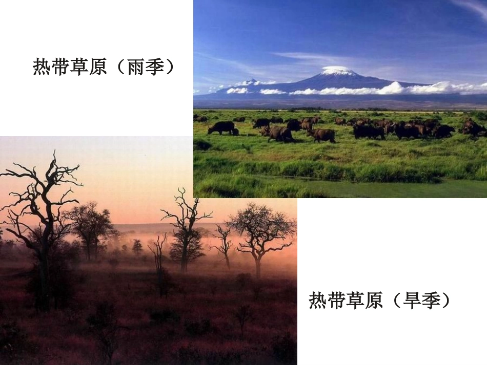 【生物】25细胞中的无机物课件2（人教版必修1）_第3页