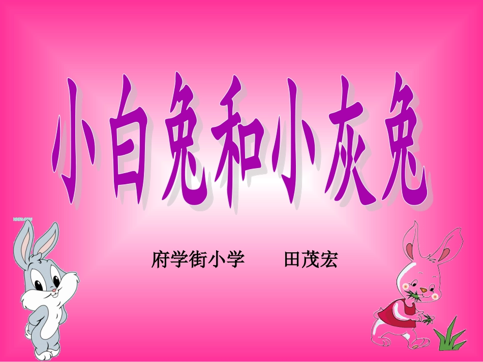 《小白兔和小灰兔》_第1页