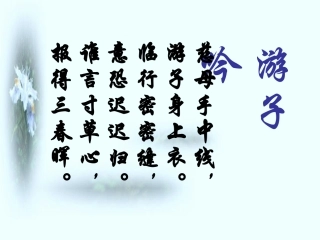 《慈母情深》课件4