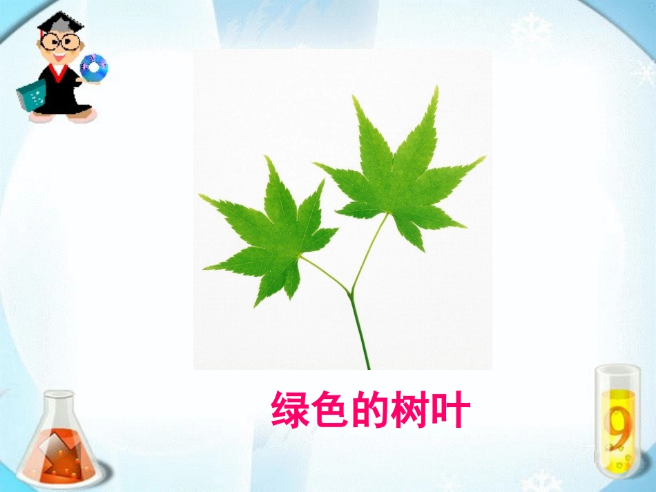 《蓝色的树叶》课件1_第2页