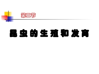 昆虫的生殖和发育