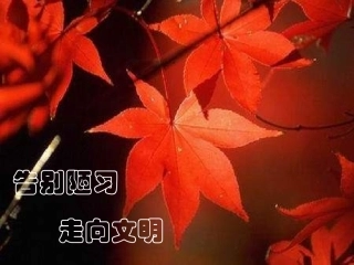 【班主任】告别陋习走向文明课件rar主题班会课件