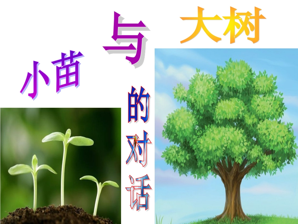 《小苗与大树的对话》课件_第1页