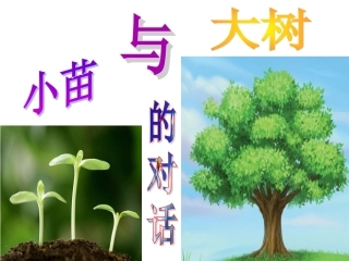 《小苗与大树的对话》课件