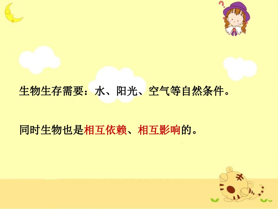 《食物链和食物网》教学课件_第3页