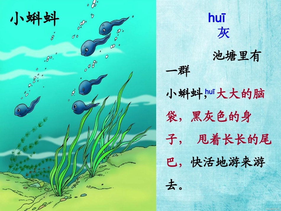 小蝌蚪找妈妈(考核课)_第1页