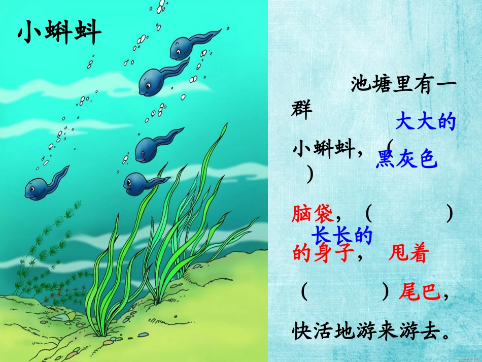 小蝌蚪找妈妈(考核课)_第2页