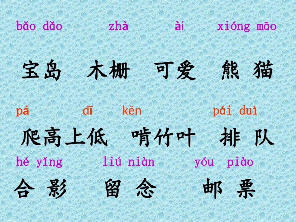 《团团和圆圆》课件_第3页