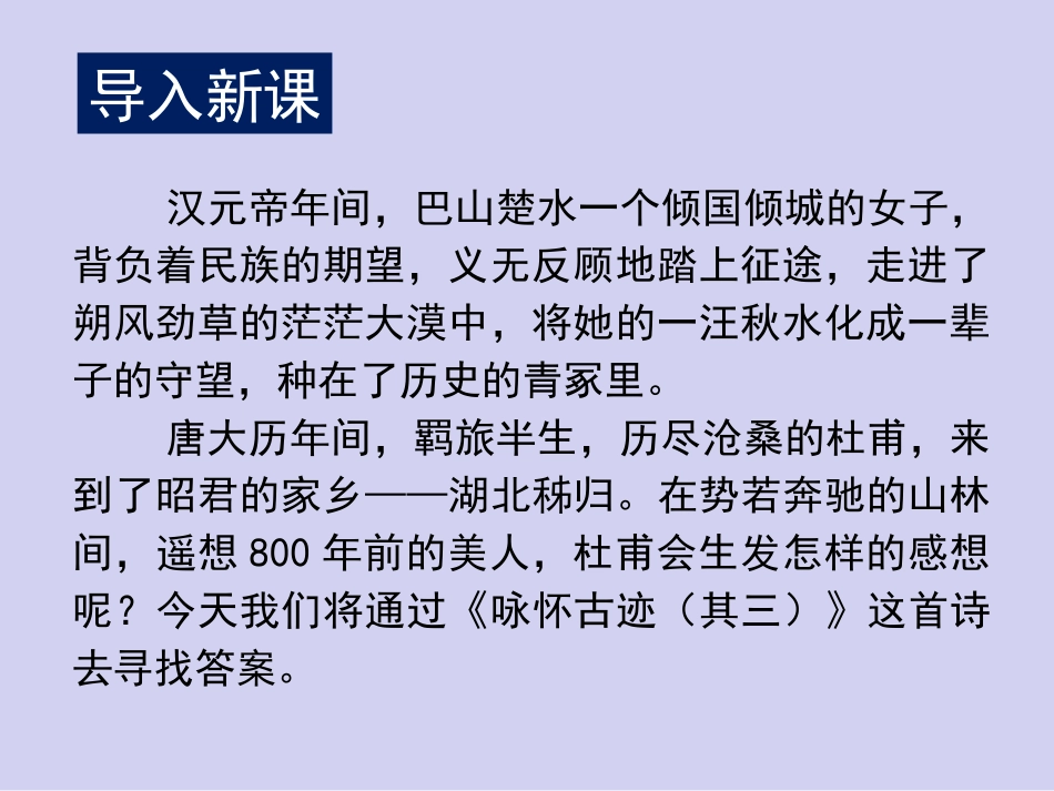 《咏怀古迹(其三)(1)_第3页