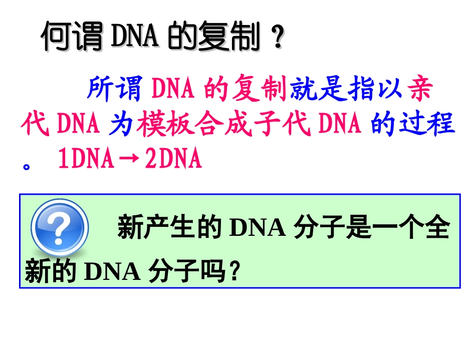 DNA的复制 (2)_第3页