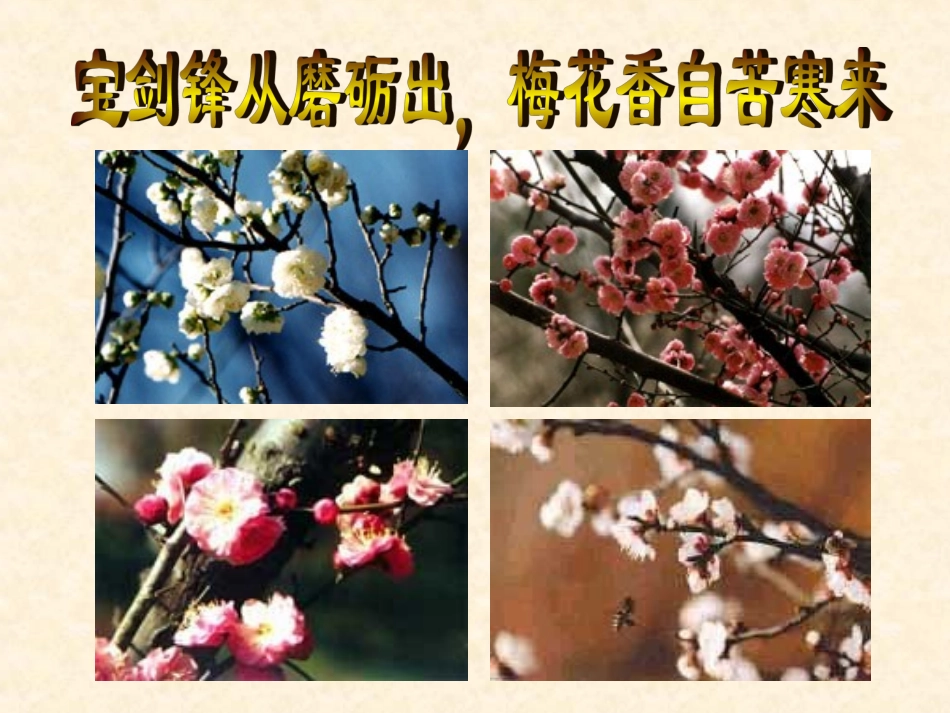 《卜算子咏梅》毛泽东(1)_第2页