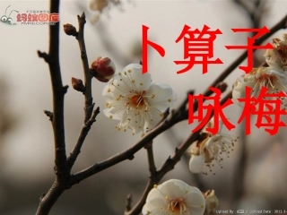 《卜算子咏梅》毛泽东(1)