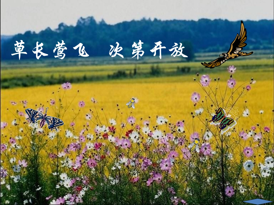 《大自然的语言》_第2页