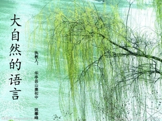 《大自然的语言》