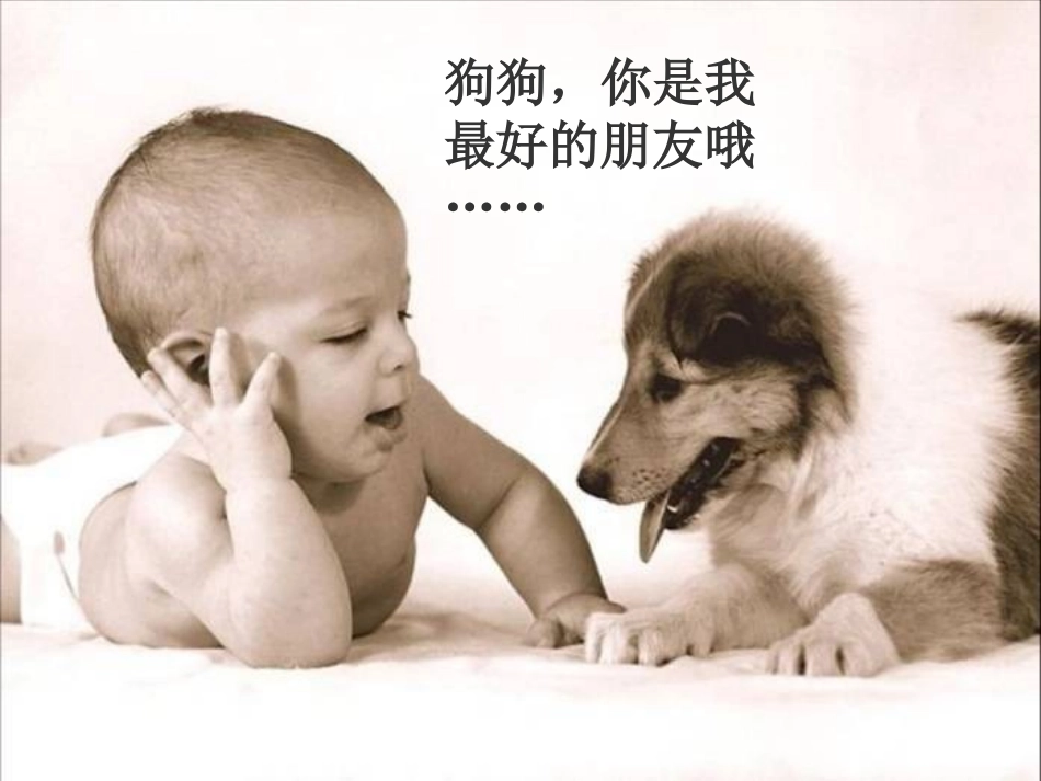 七年级语文上册《安恩与奶牛》教学课件 苏教版_第1页