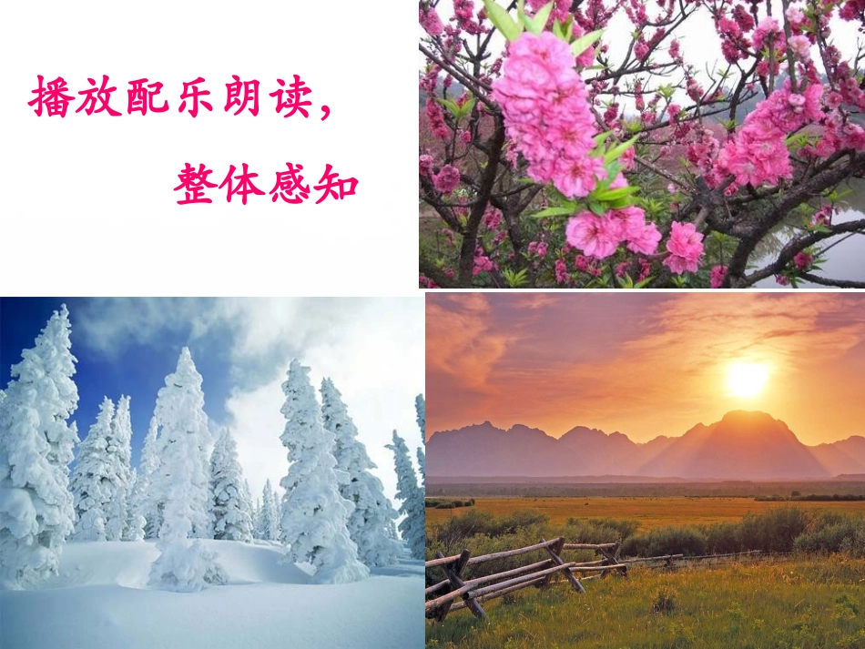 《我们爱你啊，中国》课件2_第3页