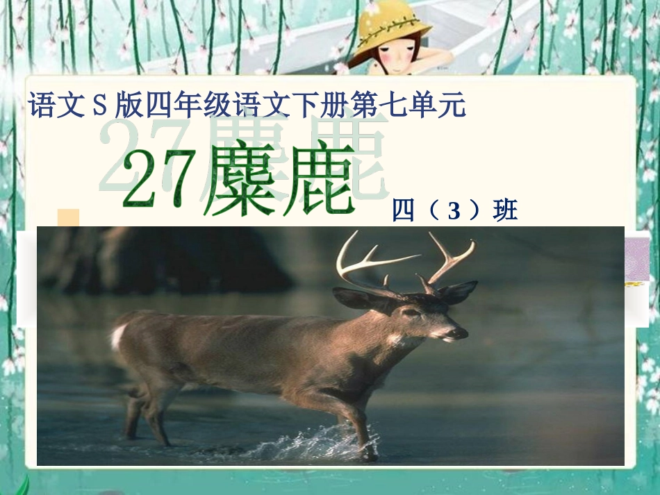 《麋鹿》课件（语文S版四年级下册课件）_第1页