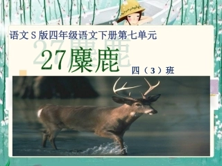 《麋鹿》课件（语文S版四年级下册课件）