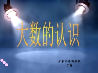 《大数的认识总复习》PPT课件