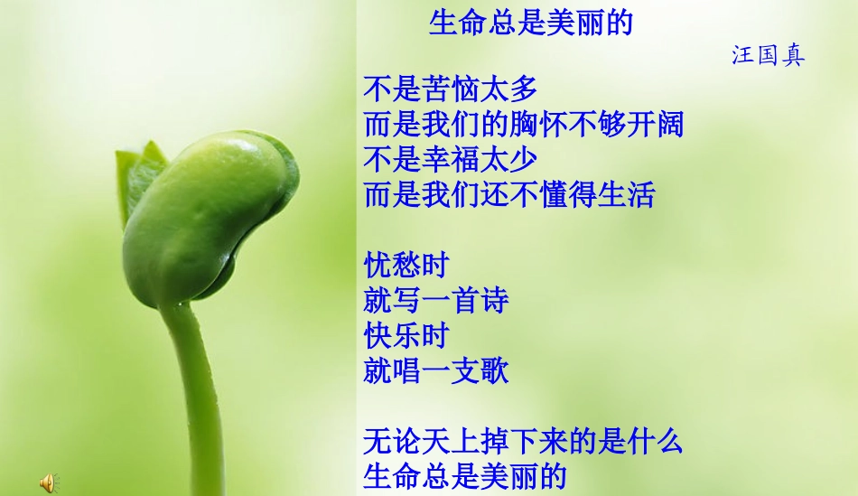 《蝉、贝壳》课件2_第1页