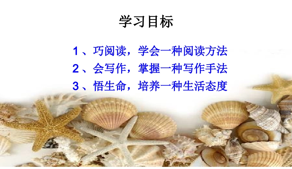 《蝉、贝壳》课件2_第3页