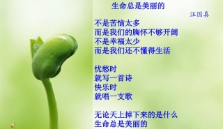 《蝉、贝壳》课件2