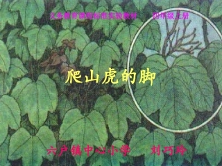 《爬山虎的脚》教学课件