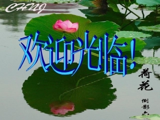 《倒数的认识》课件