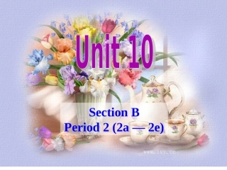 新目标九年级英语unit10sectionB（2a-2e)