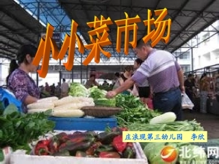 中班社会《小小菜市场》