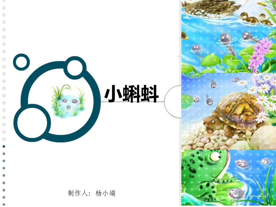 小蝌蚪找妈妈 (4)_第2页