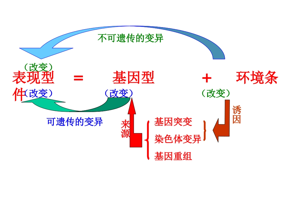 生物变异在生产上的应用(公开)_第3页