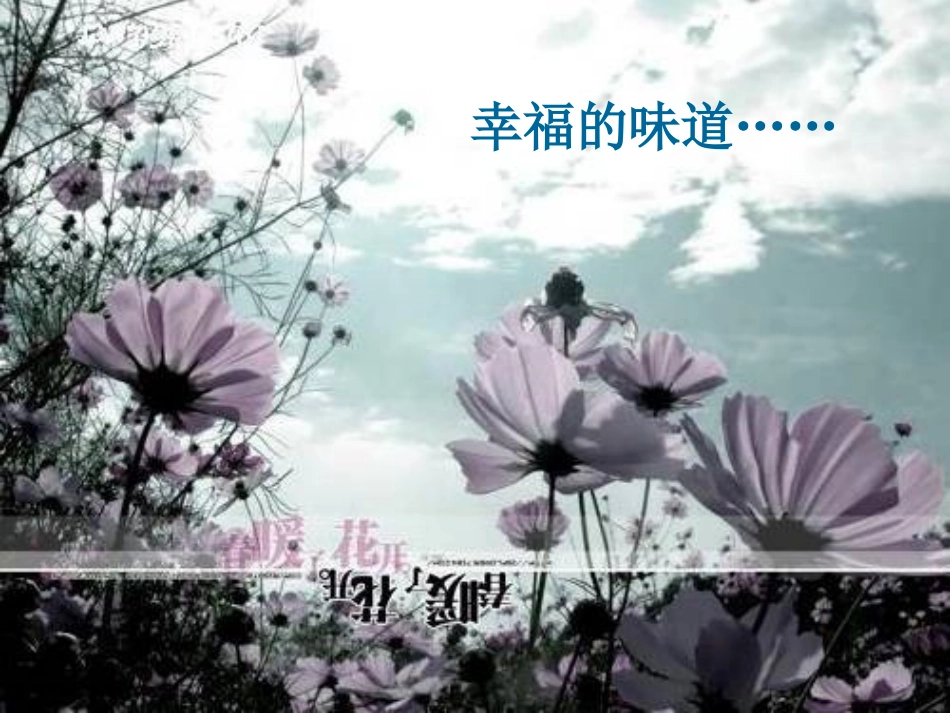 《面朝大海-春暖花开》课件_第2页