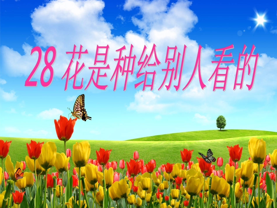 《花是种给别人看的》 (2)_第1页