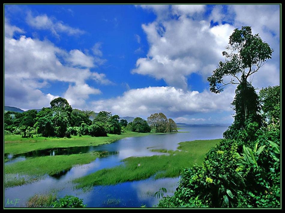 《山中访友》1课件_第3页