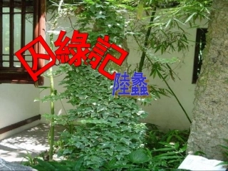 《囚绿记》PPT