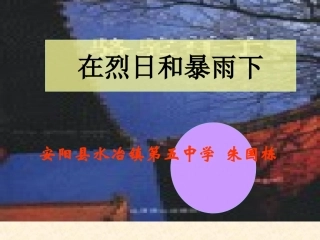 苏教版九年级上《在烈日和暴雨下》教学课件朱国栋