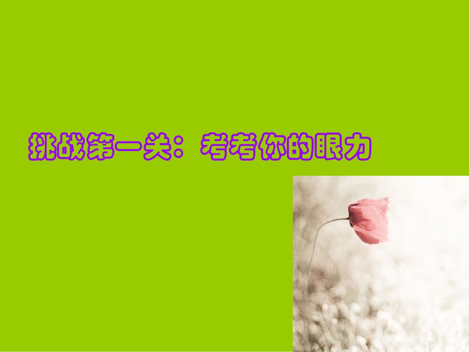 What_does_he_look_like公开课_第1页