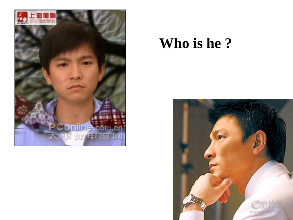 What_does_he_look_like公开课_第2页