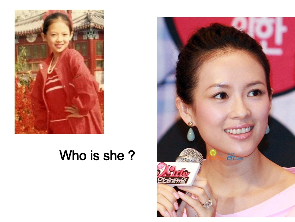 What_does_he_look_like公开课_第3页