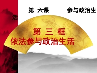 依法参与政治生活