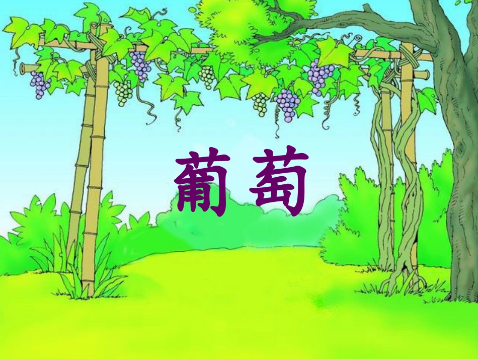 《酸的和甜的》PPT课件_第3页
