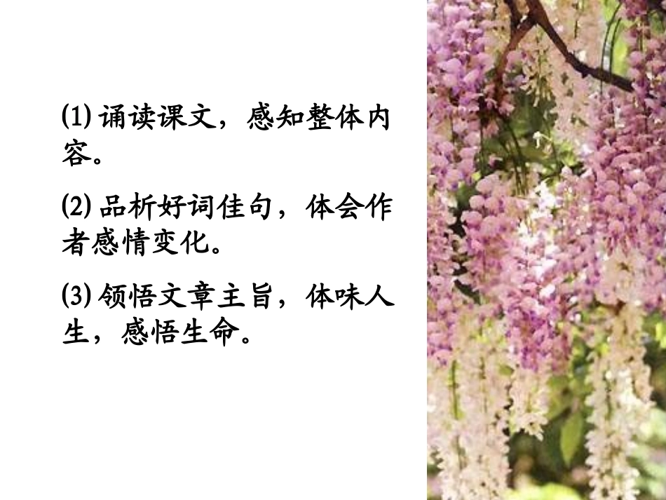 《紫藤萝瀑布》课件 (3)_第3页