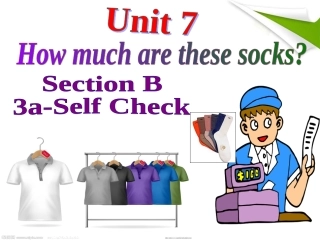 七上七SectionB2